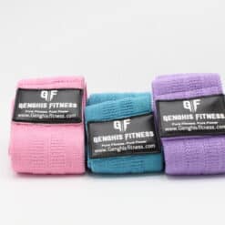 exercise/Genghis Fitness Mobility glute band