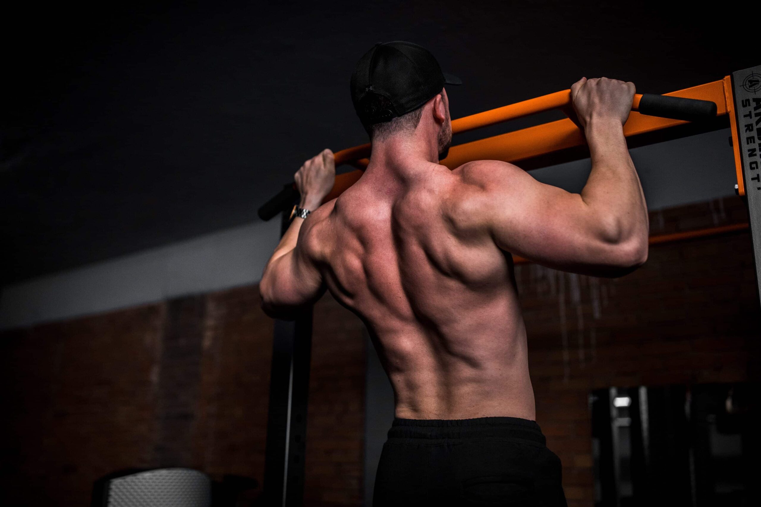 Back Workouts / Body Row |