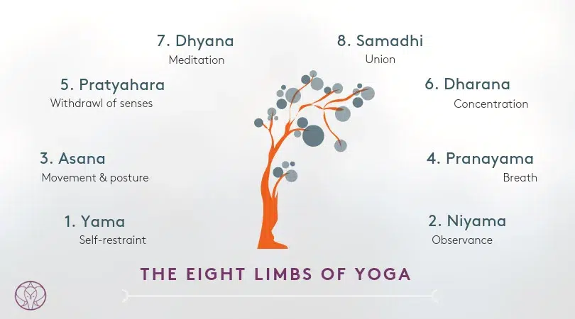 eight limbs of yoga