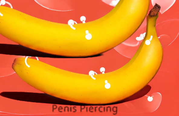 Penis Piercing