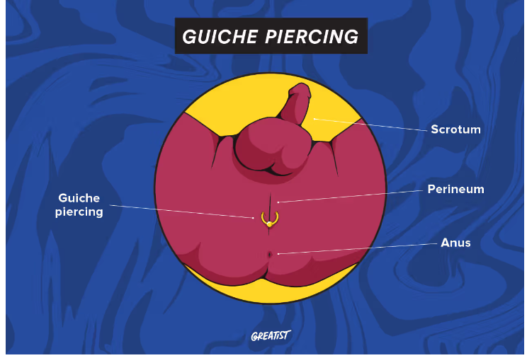 Guiche Piercing