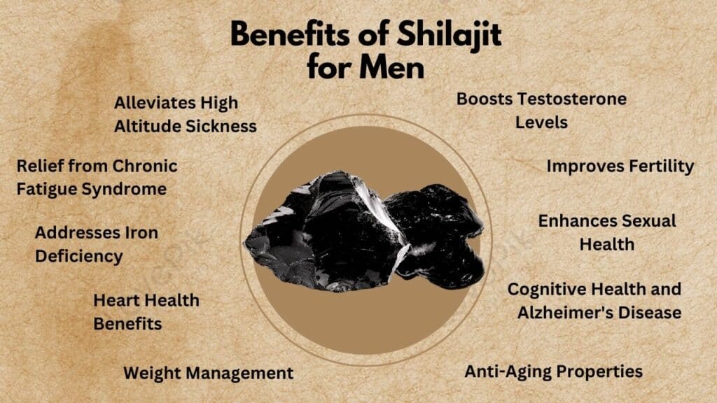 benefits of shilajit