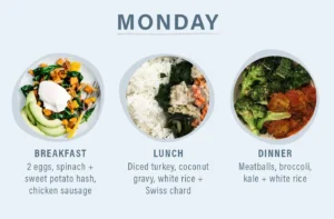 CrossFit Diet Plan